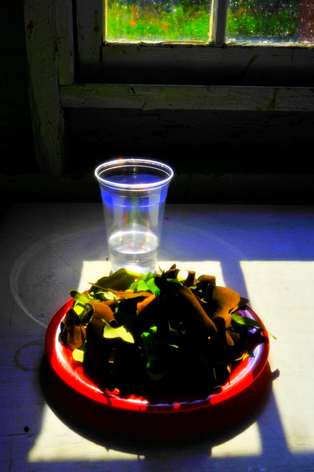 Salad